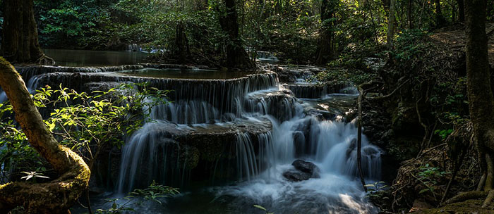 Waterfalls in a forest