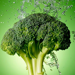 Head of Broccoli